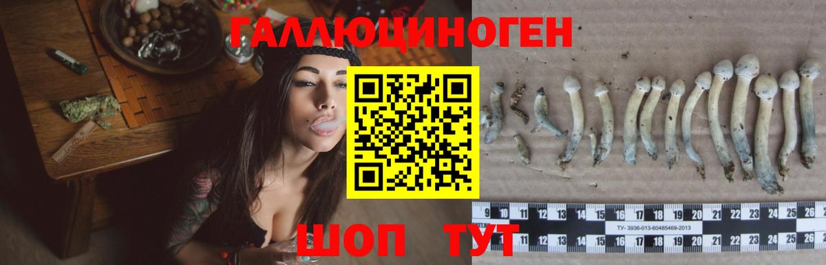 Псилоцибиновые грибы GOLDEN TEACHER Туапсе